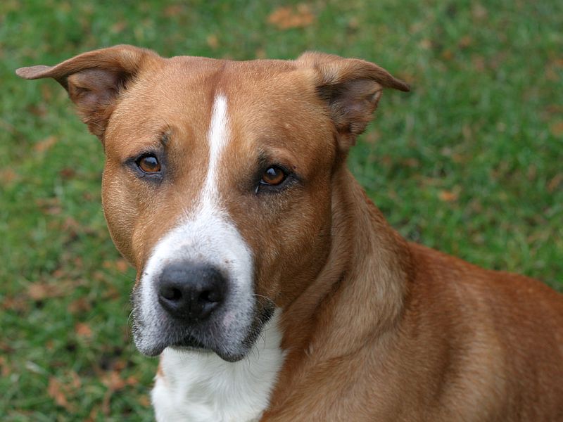 Diego
