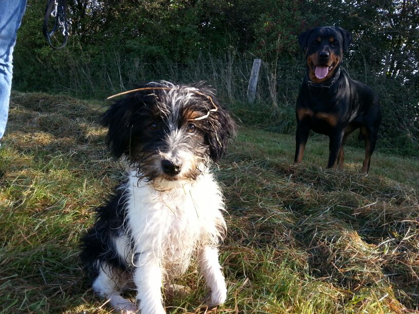 Leni und ihre Ersatzmama Esta