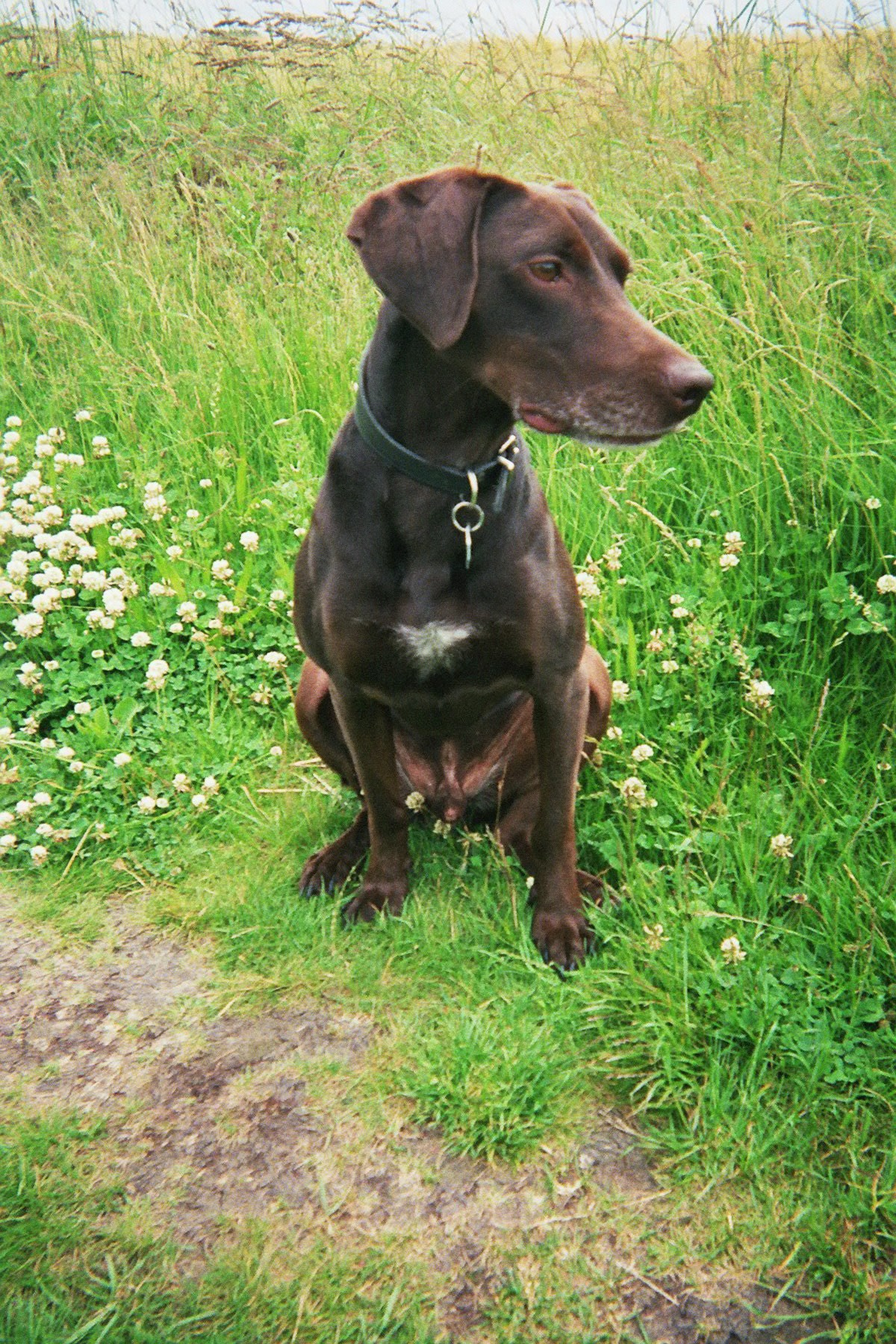 Und so ein netter lebte auf der Strasse und nun schon gut 10 Jahre bei uns :-)