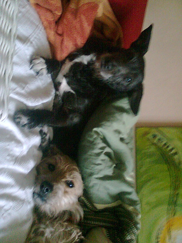 melli und sniffi