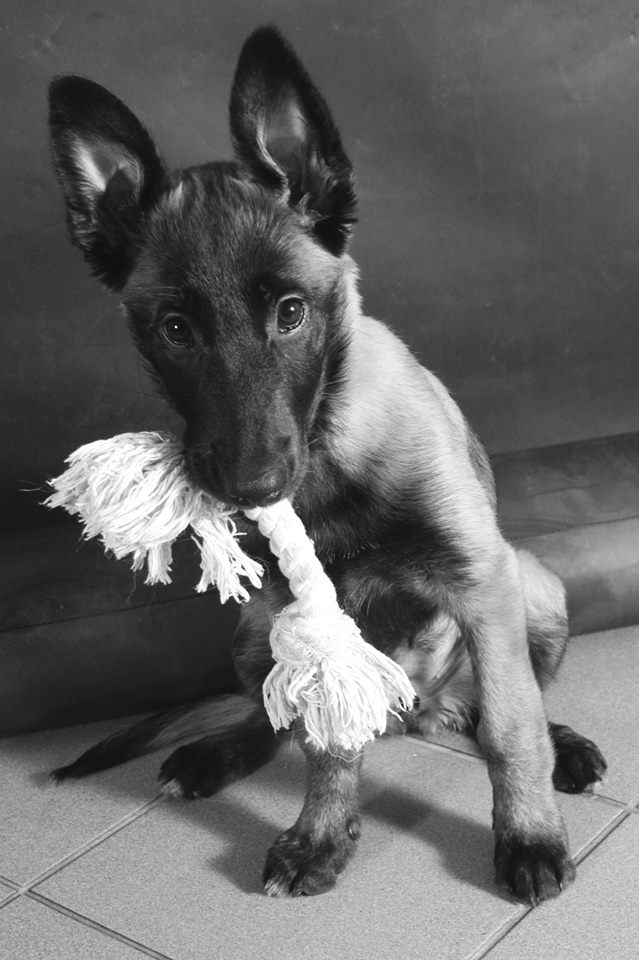 Pepper in Black/White