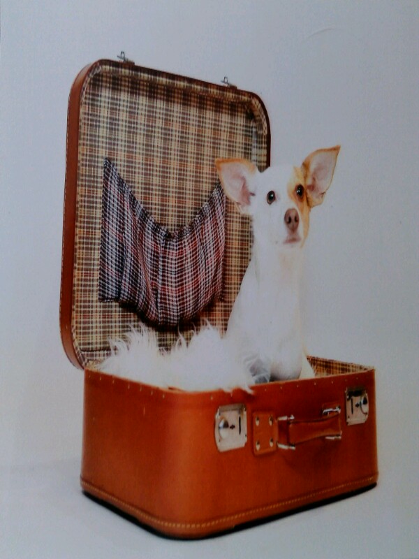 Ich will mit ...