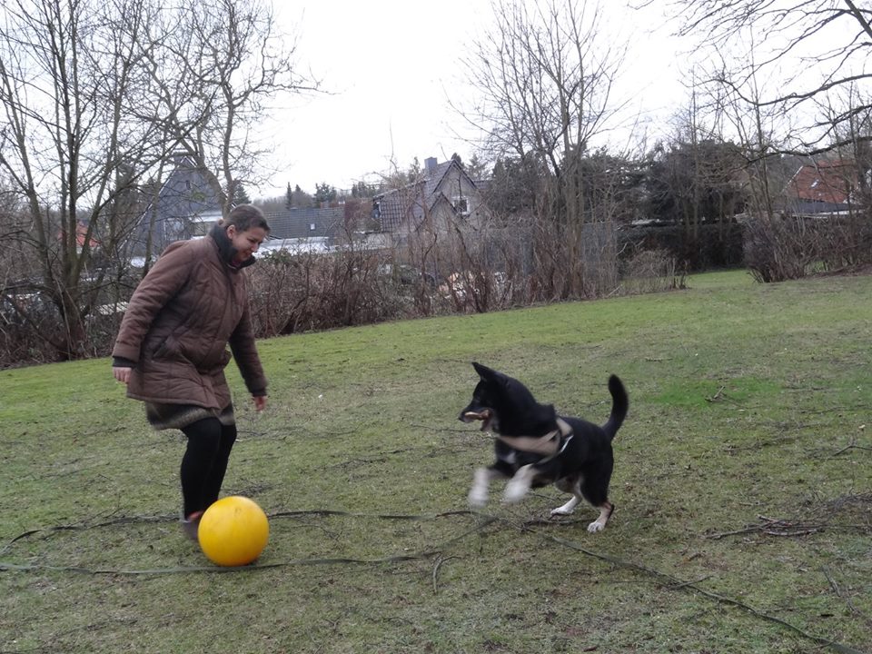 hinterm Haus mit unzerstörbarem Ferkelball