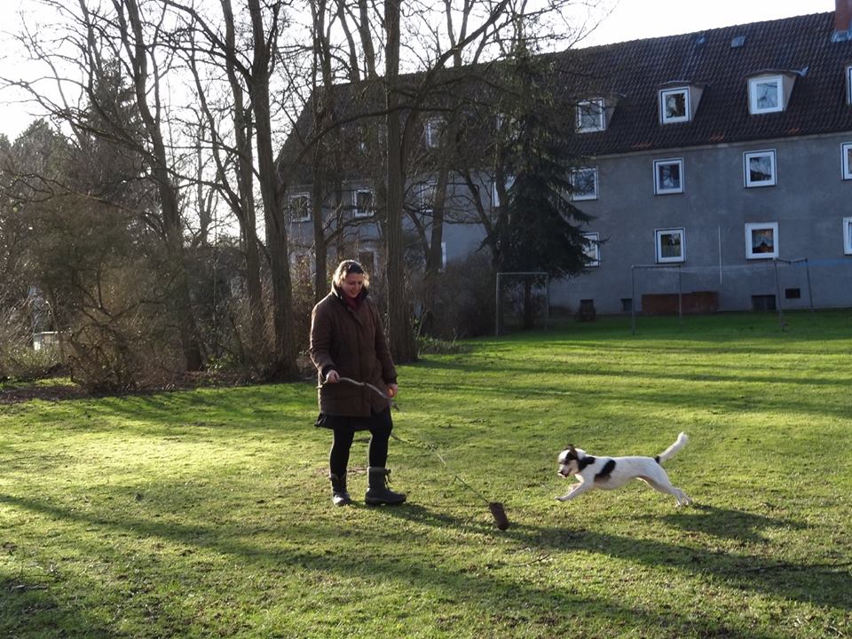 Spielen mit Reizleine
