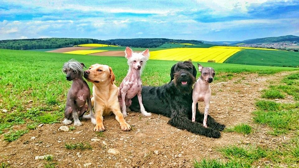 Meine weltbeste Bande in der wunderschönen Rhön.