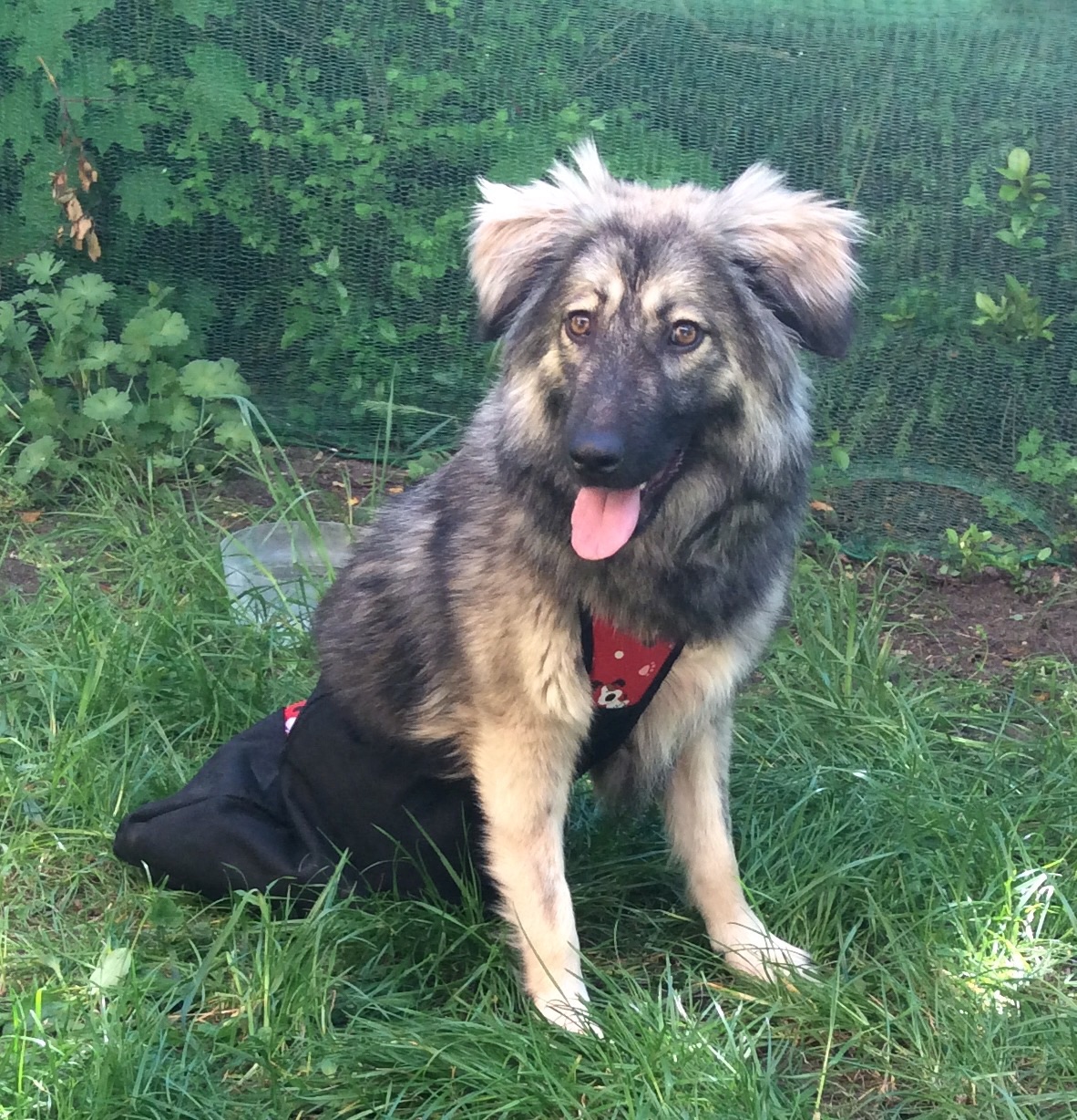 Maya mit Rutschsack