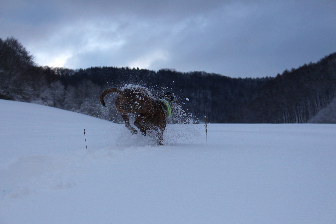 Speed!