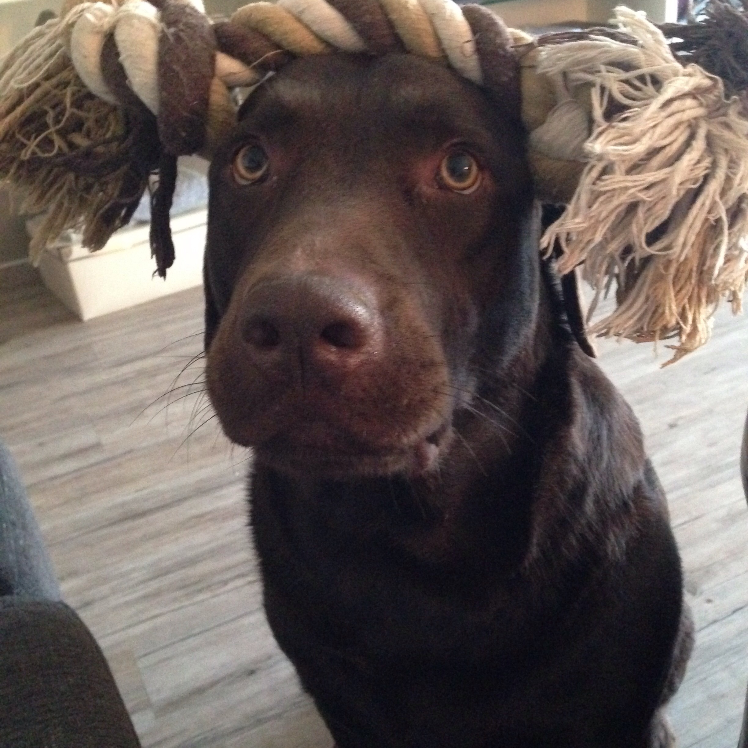 Der neue Trick :-)