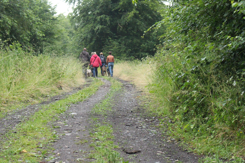 Social Walk III