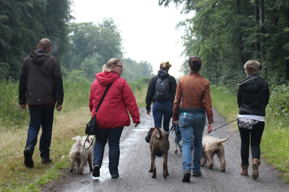 Social Walk III
