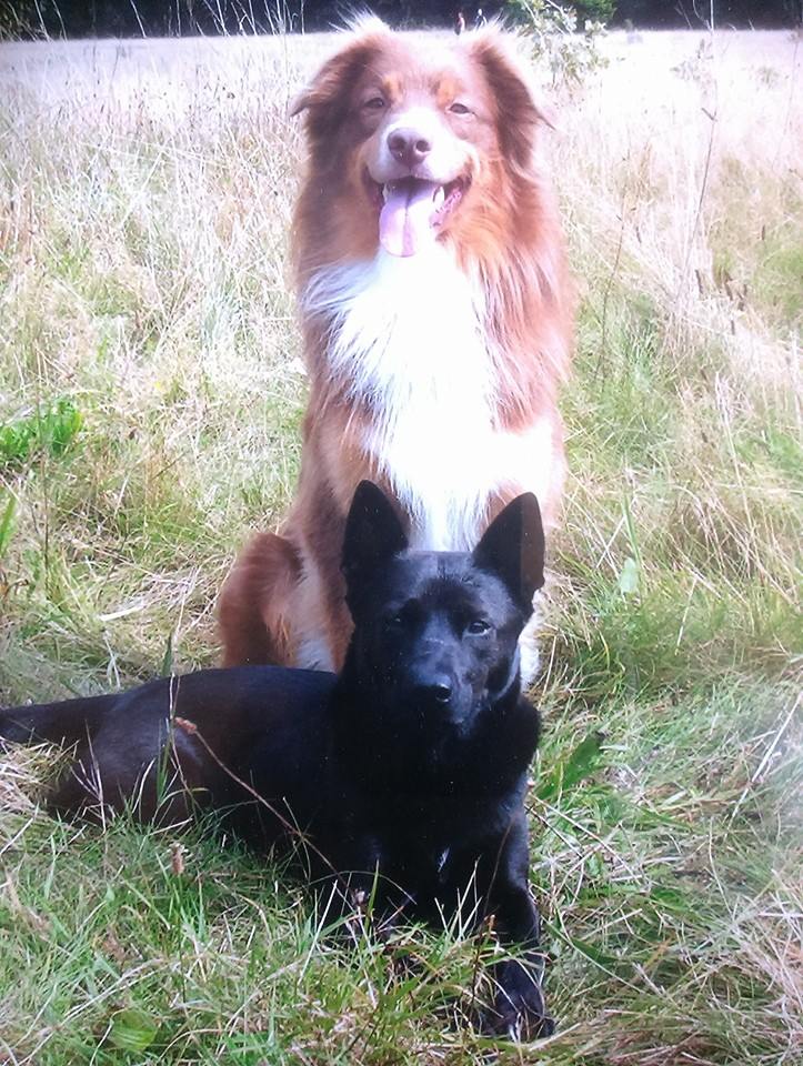 Mein kleiner Schatten in jungen Jahren, mit ihrem Adoptivsohn Copper :3