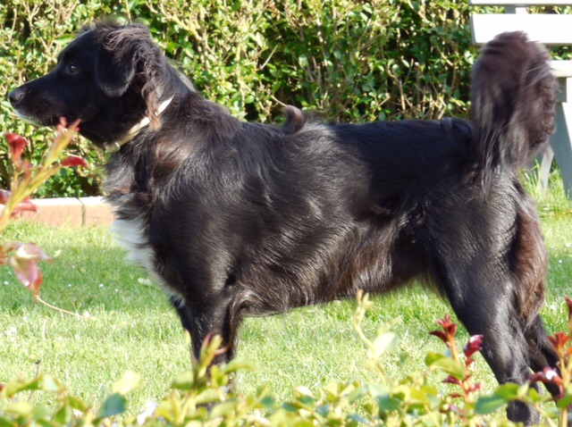 Roxy
