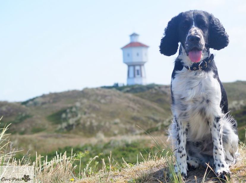 Mit Wasserturm im Hintergrund *___*