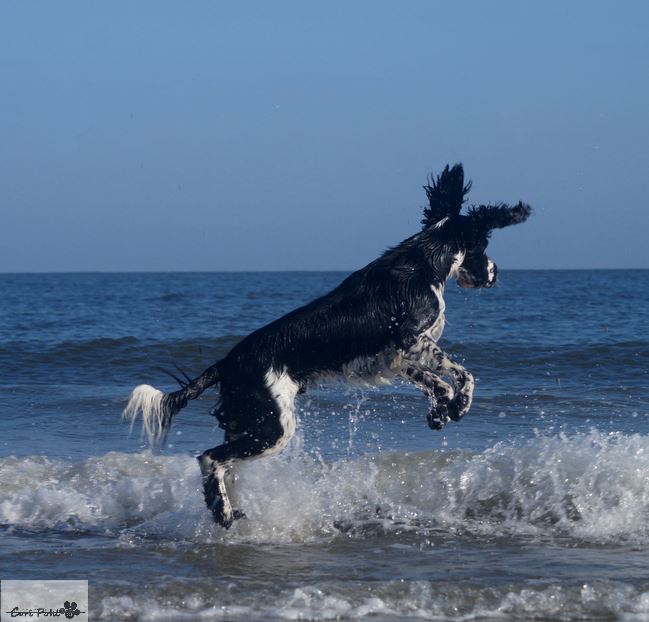 Mit Wasserturm im Hintergrund *__*