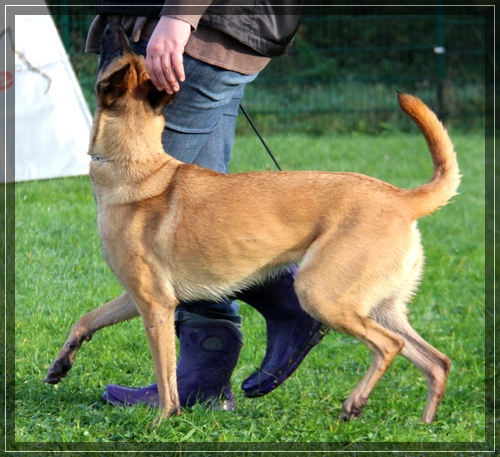 Training mit Hilde