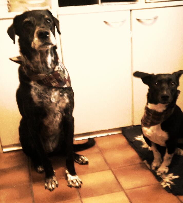 Lilly und Line