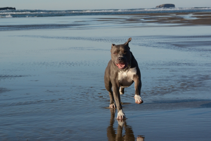 Oregon, Beverley Beach