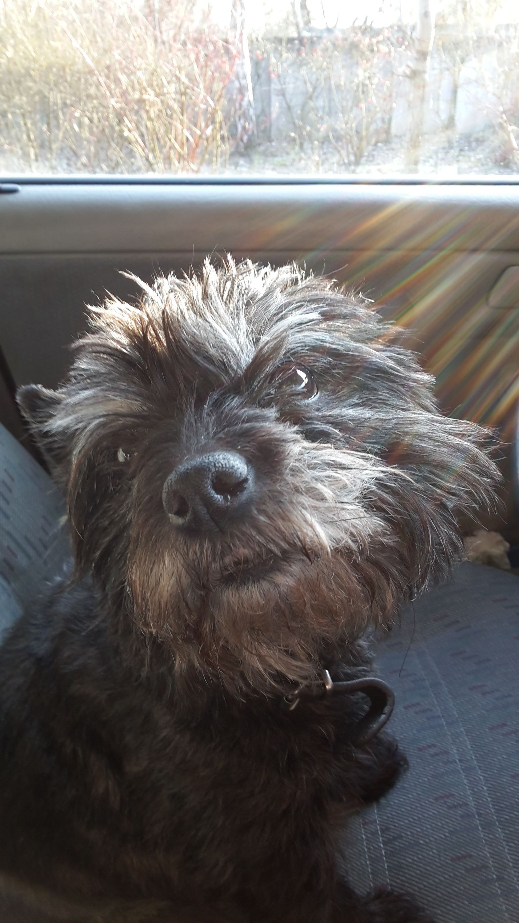 Nochmal von der Schokoladenseite