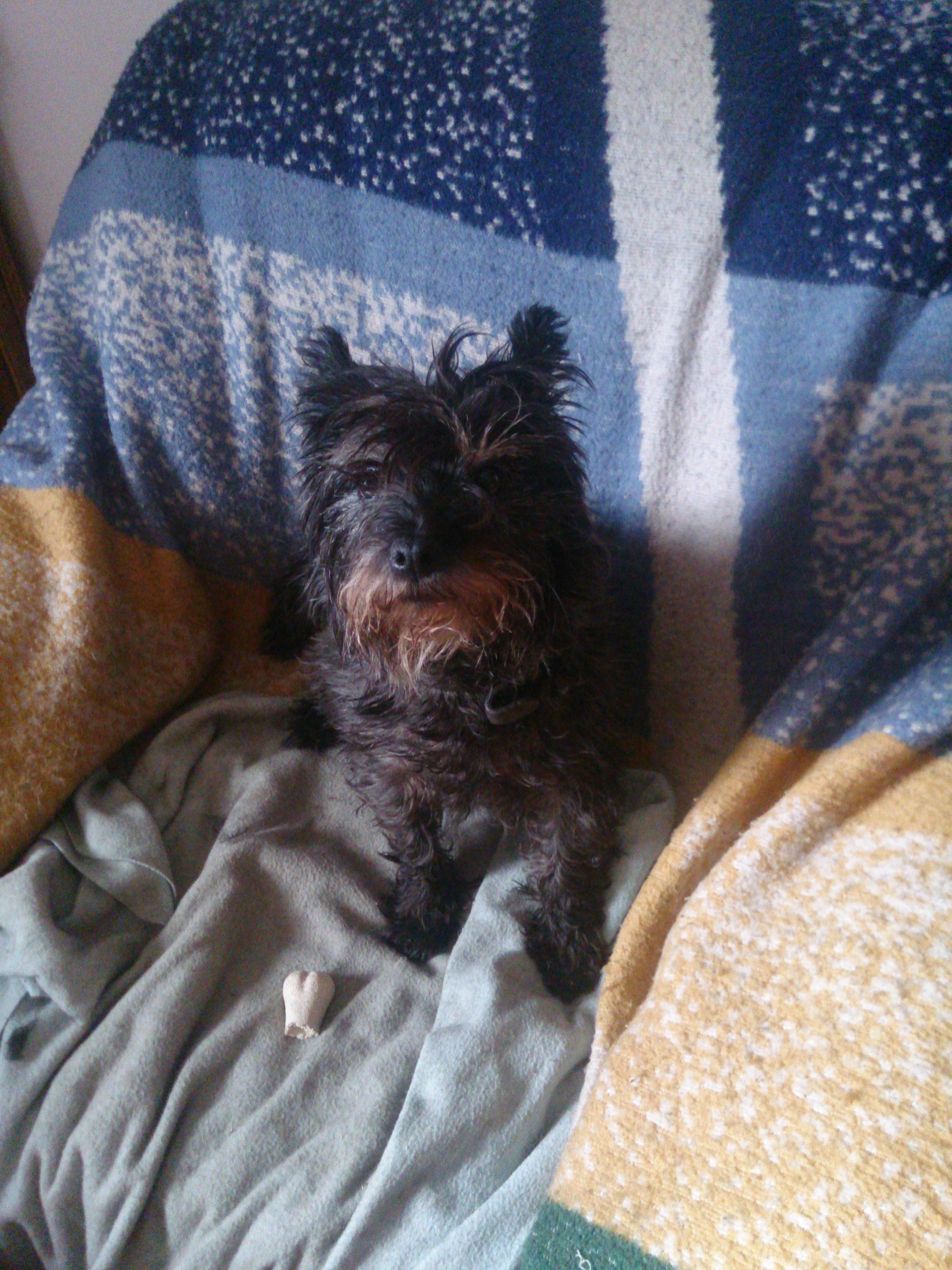 Hier regiert nur Molly