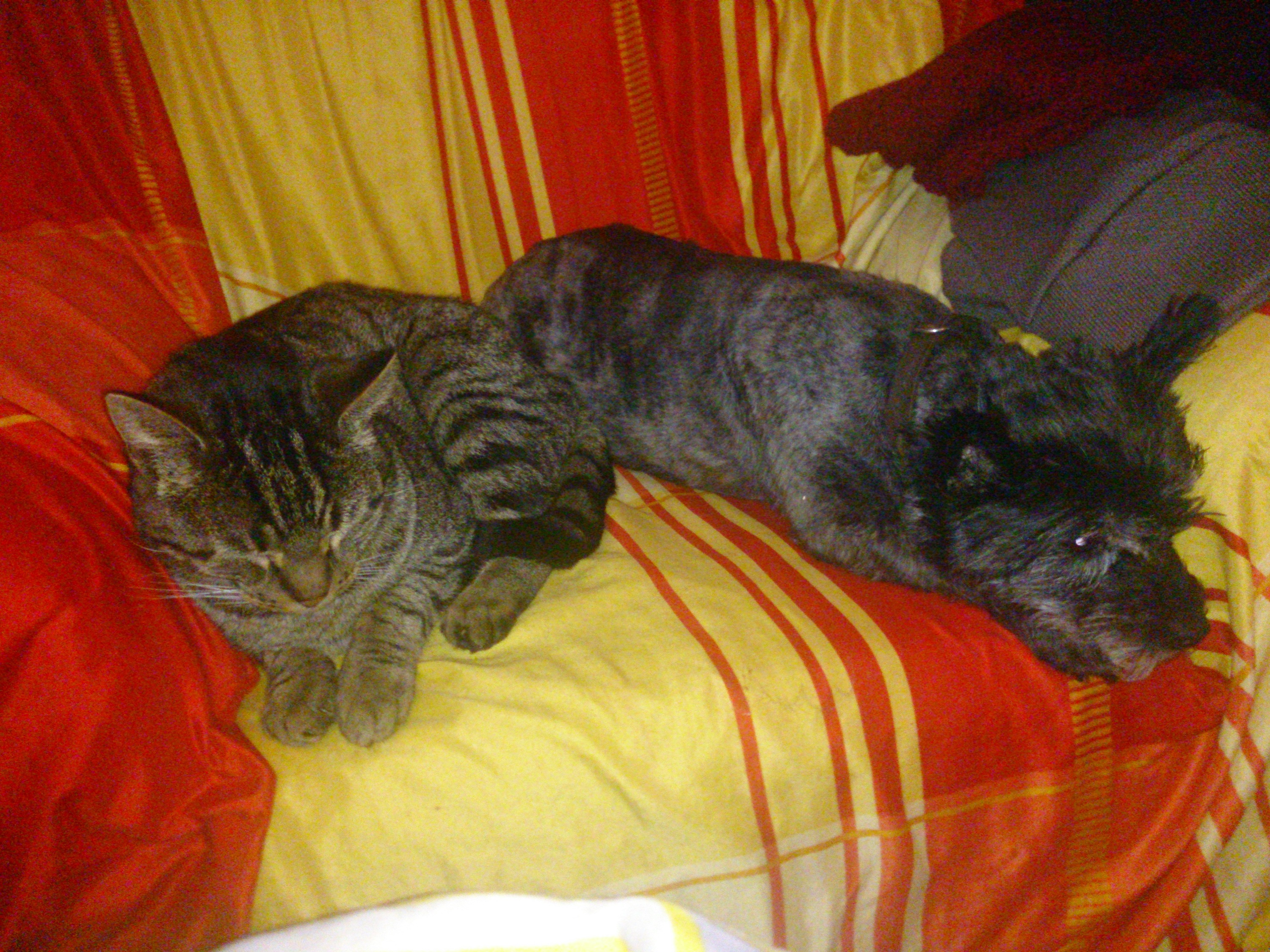 Noch einmal das Dreamteam