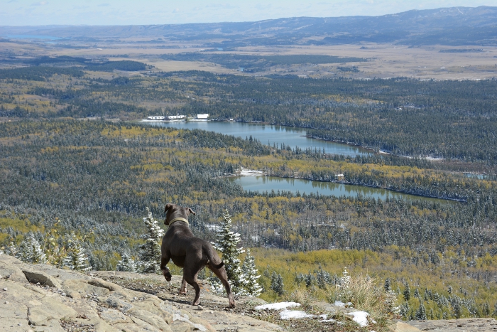 Yamnuska, AB