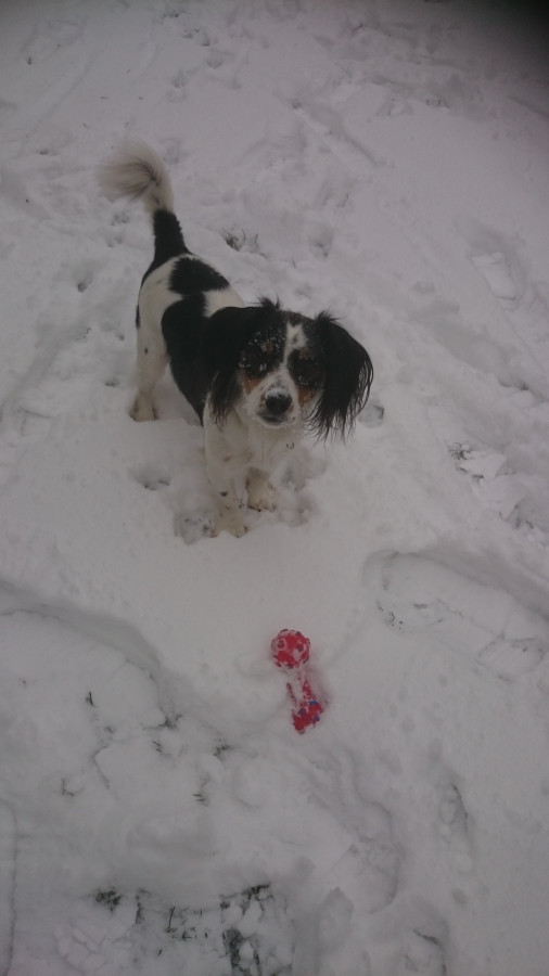 Er liebt Schnee