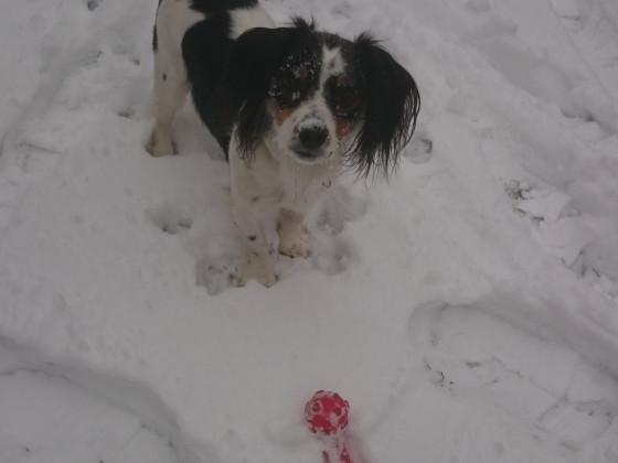 Er liebt Schnee