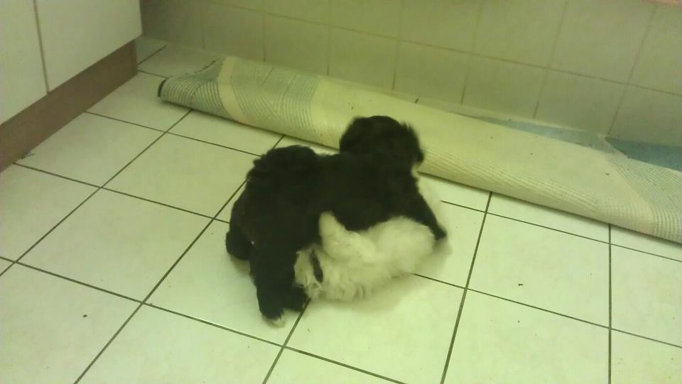 Erik und Milly
