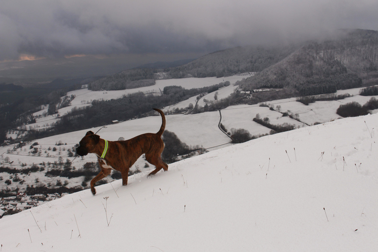 Schnee liegt auf dem Land