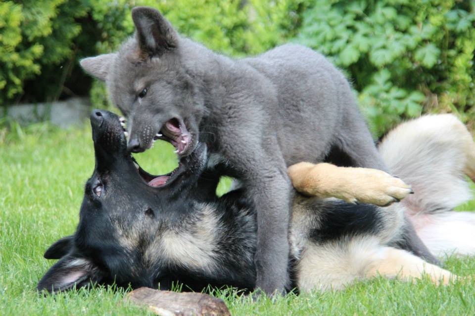 Tyra & Hiro