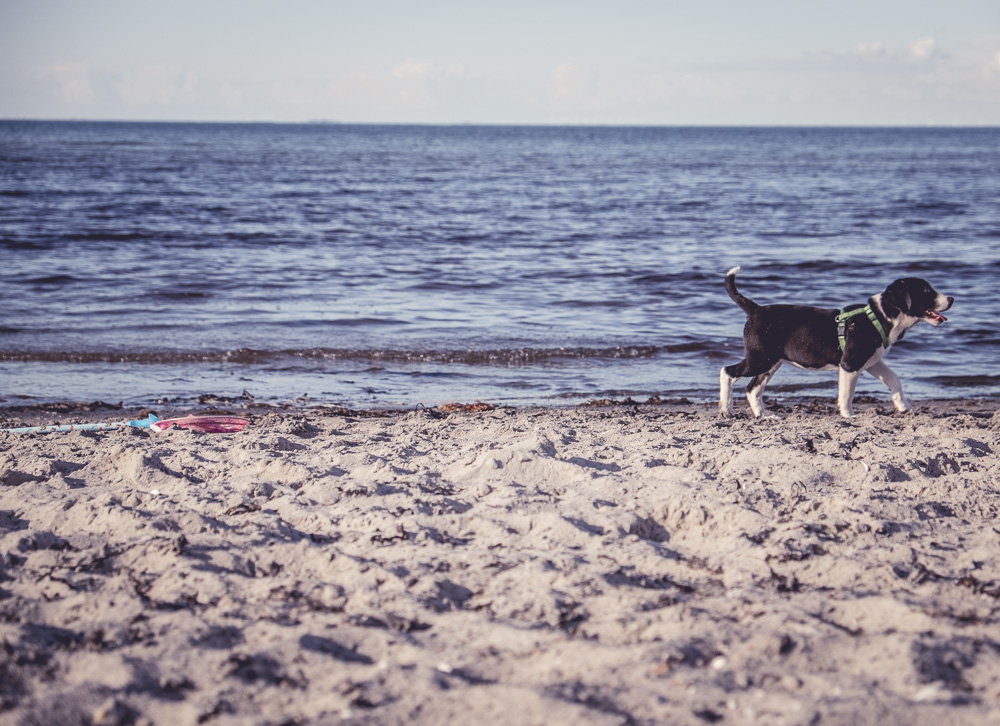 Ida am Strand
