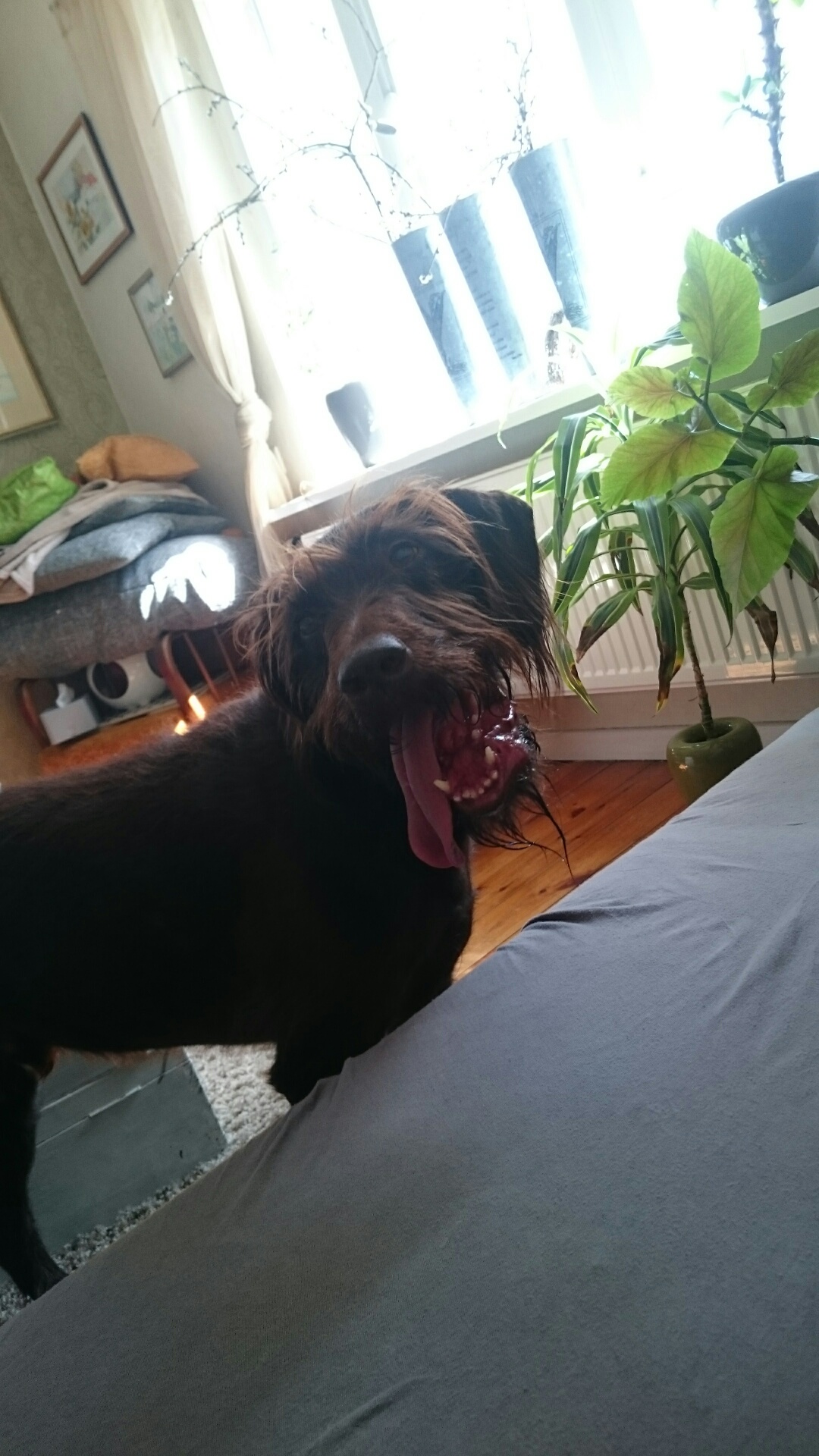 John-Boy, schon krank