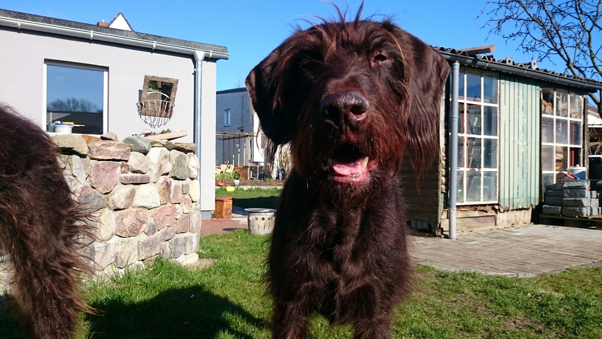 Hallo mein Schöner!!!