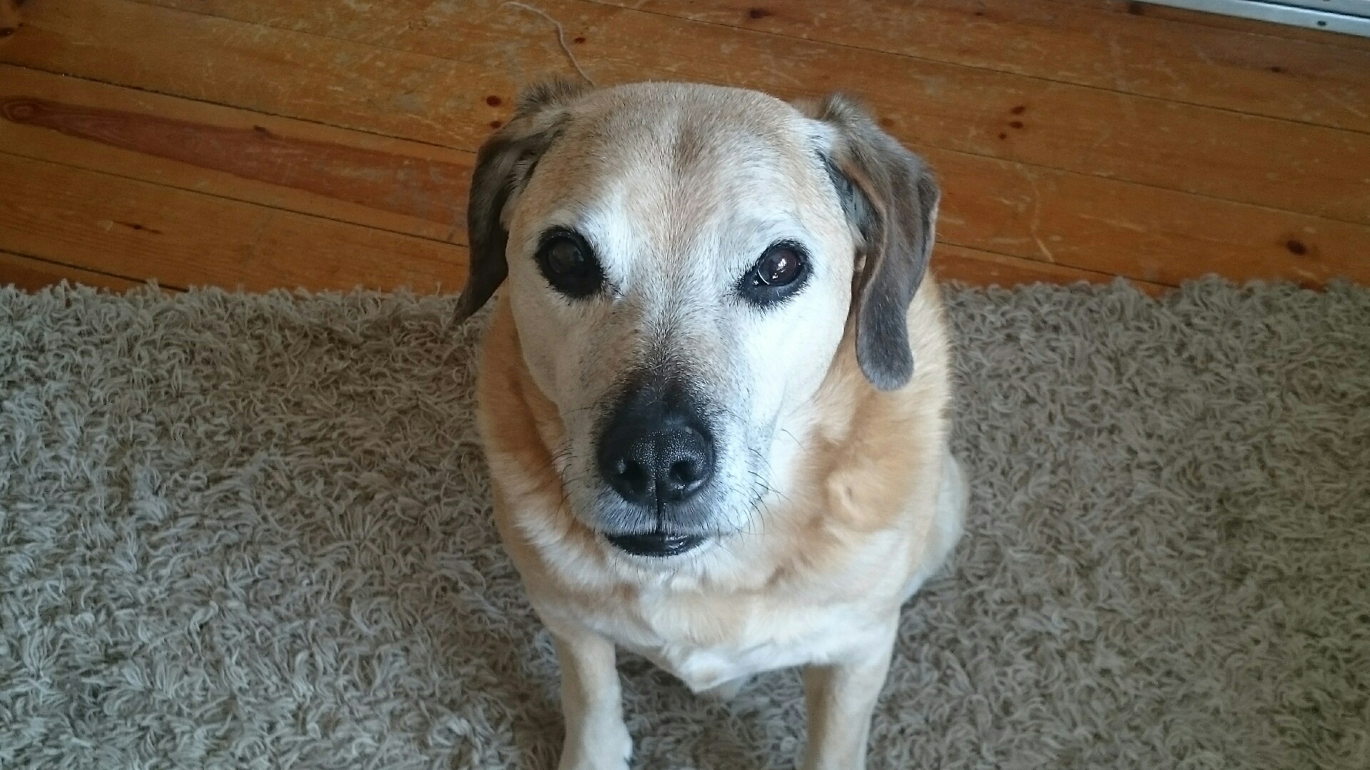 Meine Zuckerschnute Neo