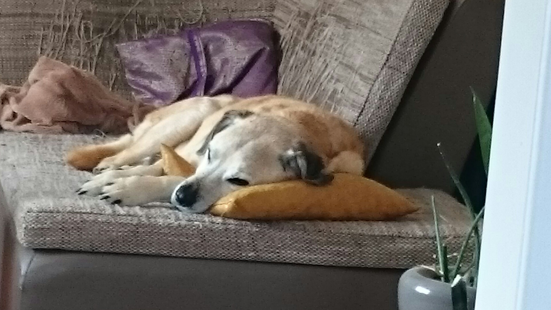 Eines der letzten Bilder von Neo