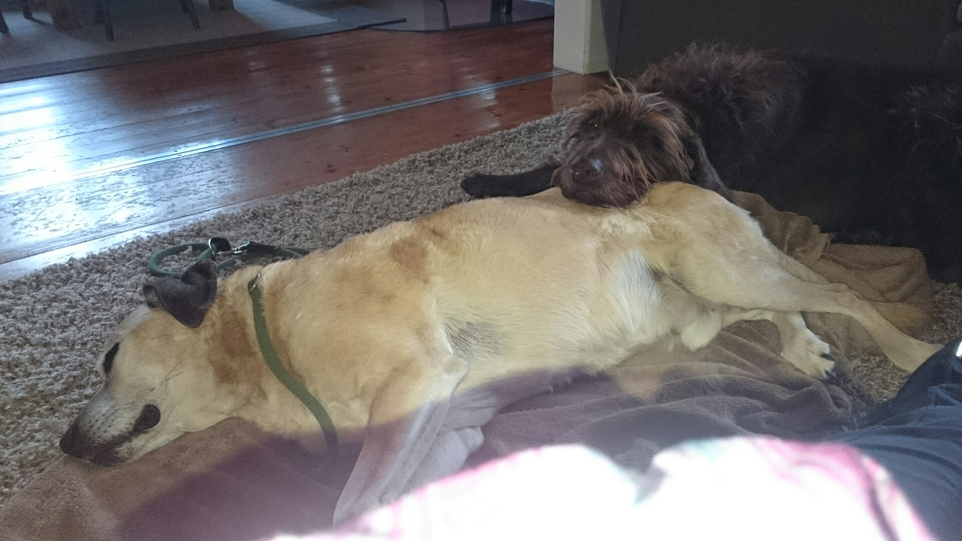 Ich passe auf Dich auf!