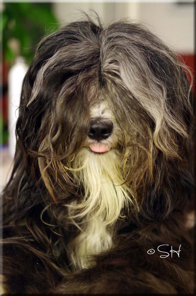 Styling ist doof