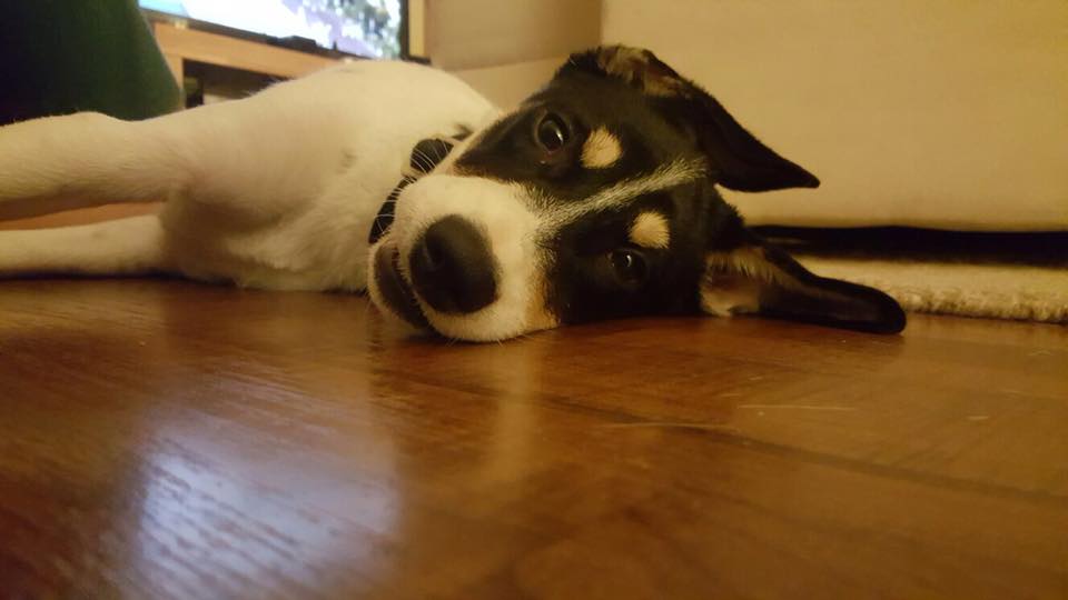 Zoe