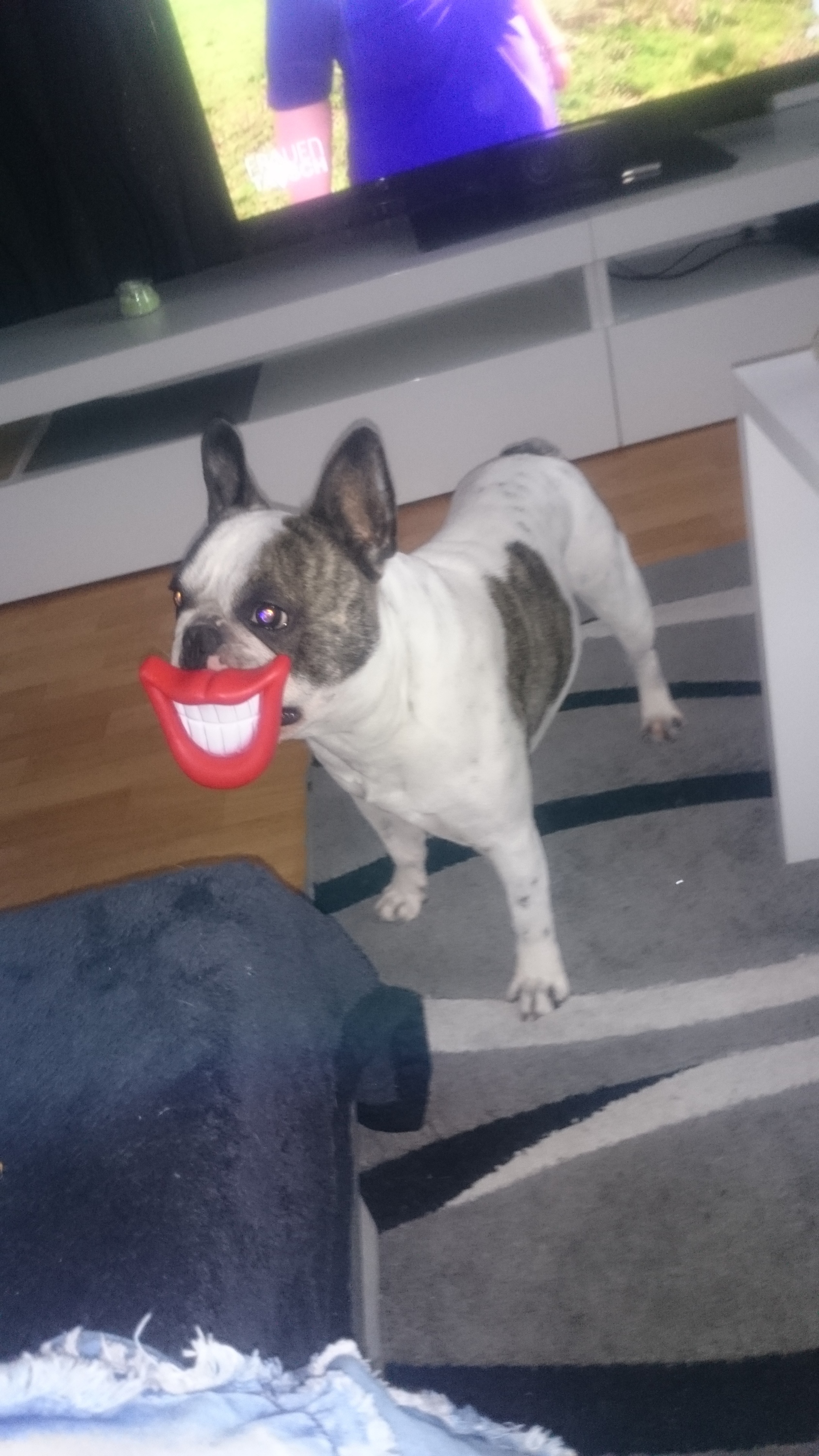 Unser spykk immer ein lächeln auf den Lippen