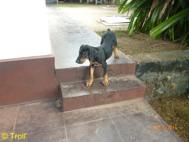 Flash auf der Treppe (Kopie)