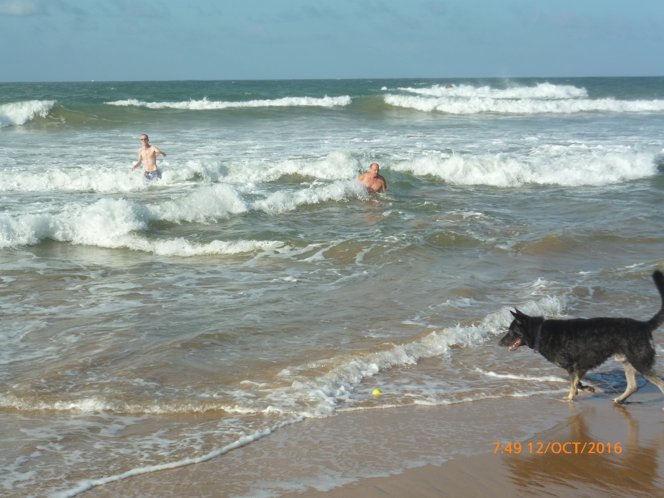 Rex sein Ball im Meer