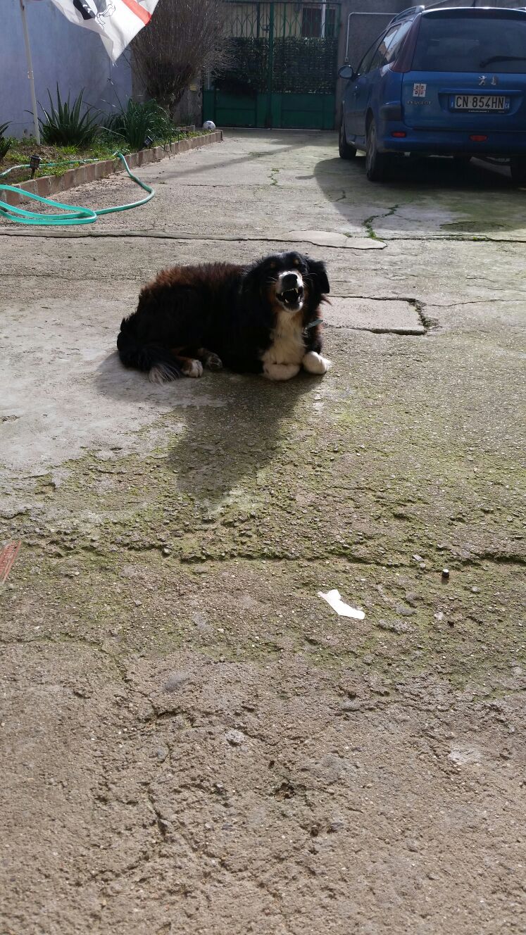 Ringo 10 Jahre