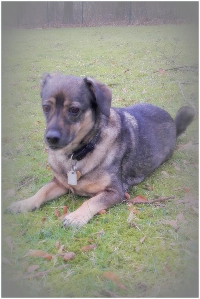 Ich muss mal kurz überlegen