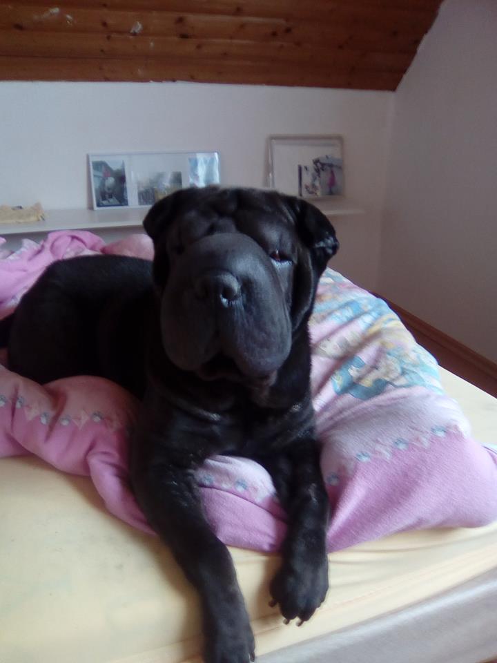 sannie bett 2