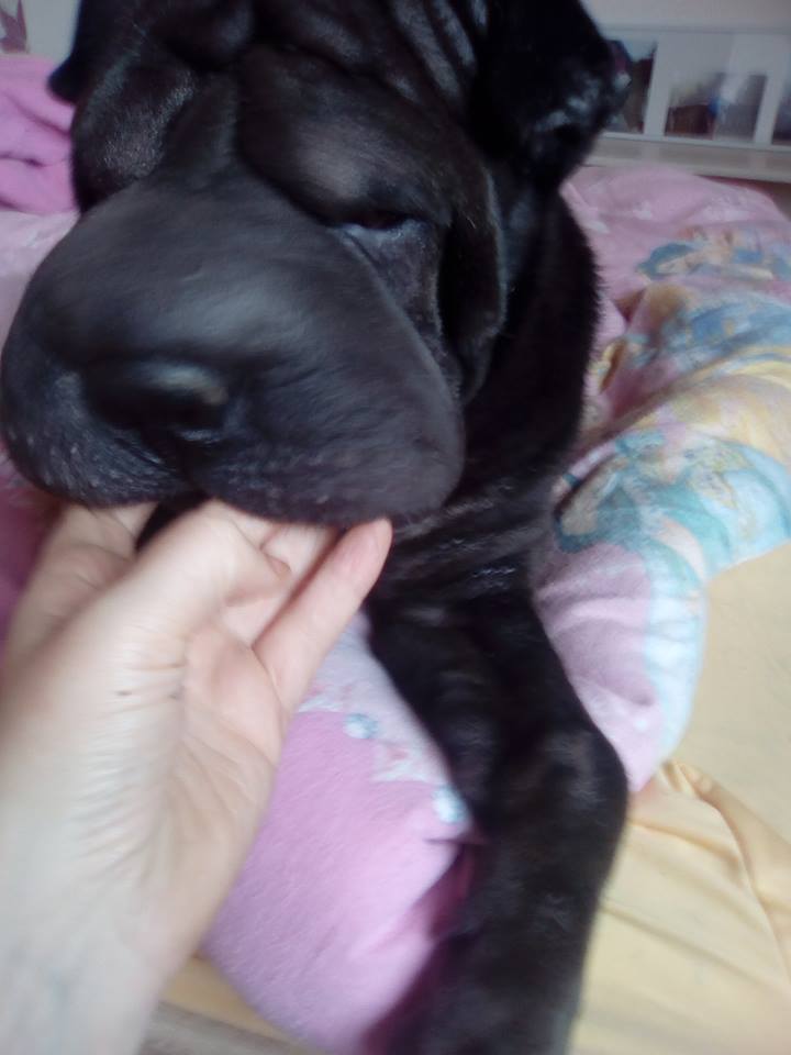 sannie bett 5
