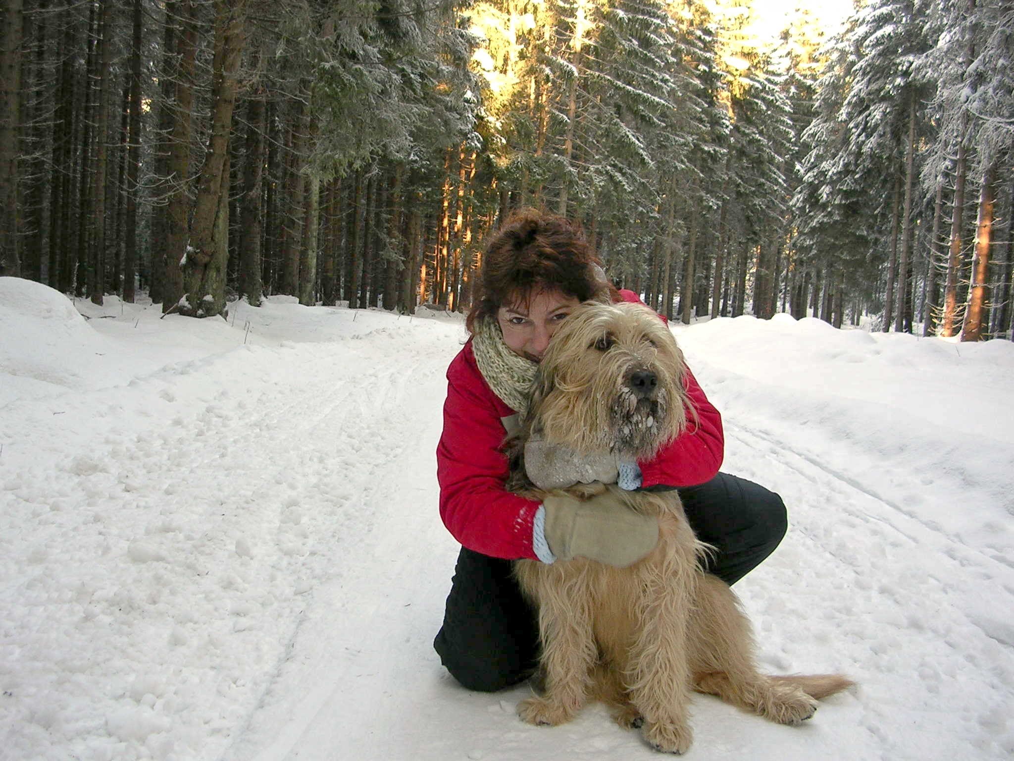 Benny liebte Schnee und einsame Wanderwege im Harz