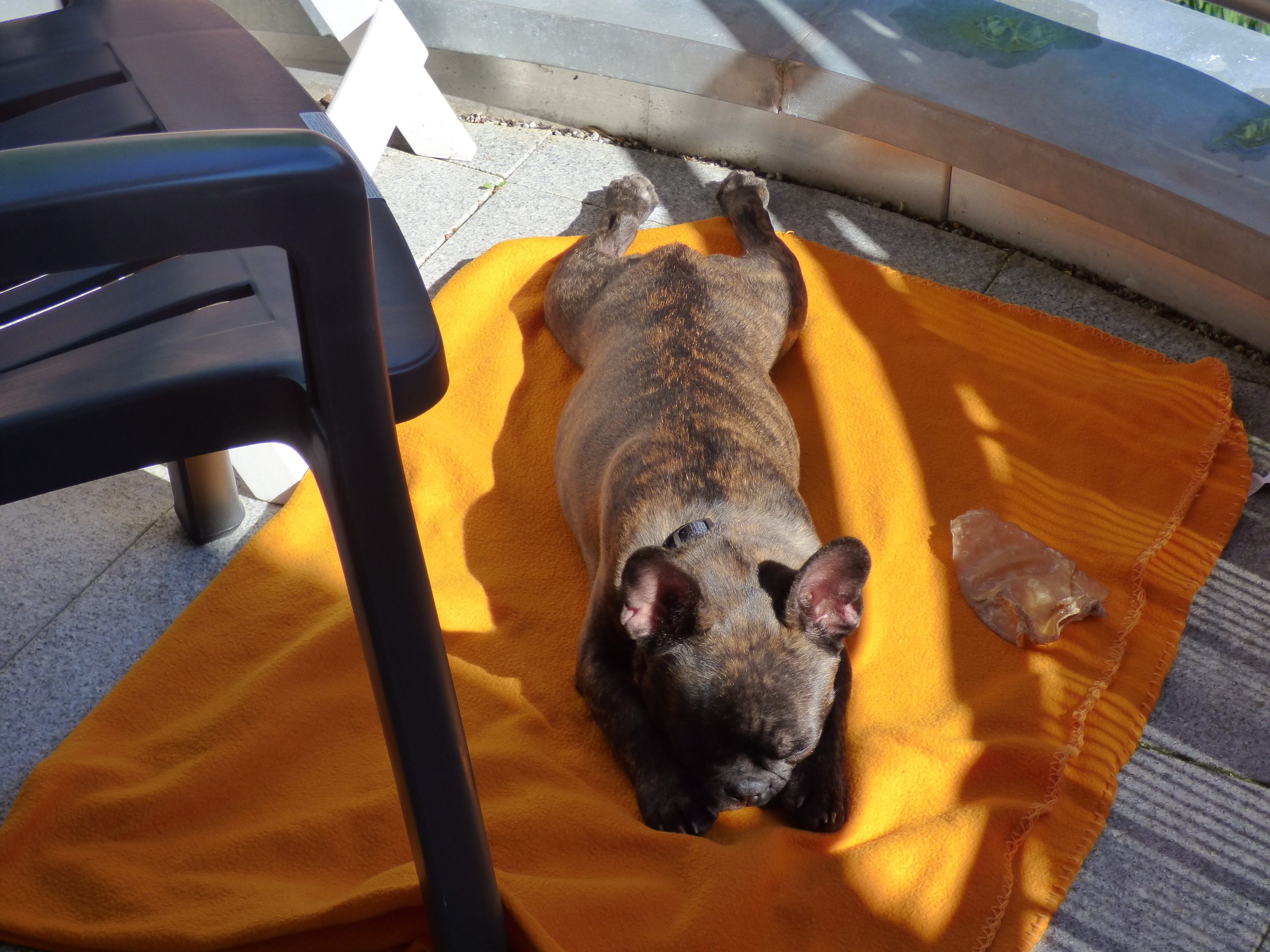 Harry nimmt ein Sonnenbad