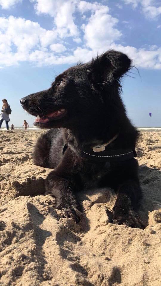 Ein Tag am Strand 2.0