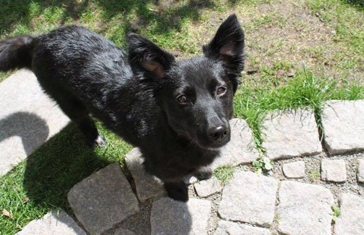 Zuhause ist es am schönsten 1.0