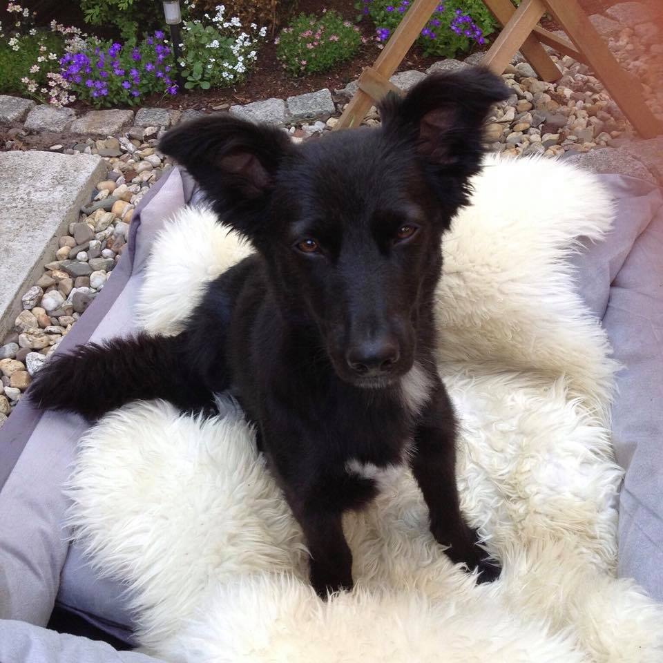 Zuhause ist es am schönsten 2.0